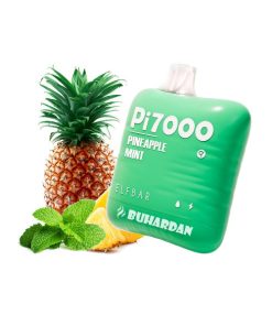 Ananas ve Nane Aromalı Elf bar Pi7000 puff